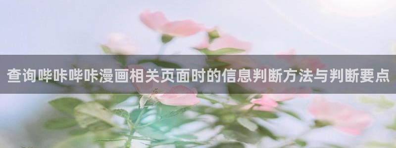 日漫在线阅读：查询哔咔哔咔漫画相关页面时的信息判断方法与判断要点